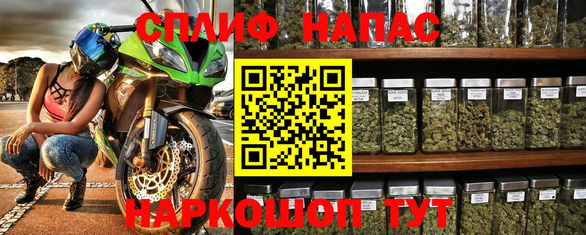 Конопля конопля Балтийск